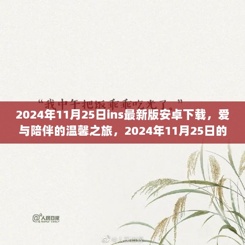 2024年11月25日，爱与陪伴的温馨之旅，体验最新版ins安卓下载的全新体验