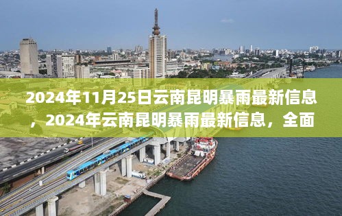 2024年11月25日云南昆明暴雨最新信息与全面解析体验报告