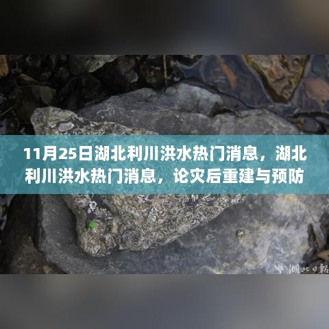 11月25日湖北利川洪水灾后重建与预防措施的重要性