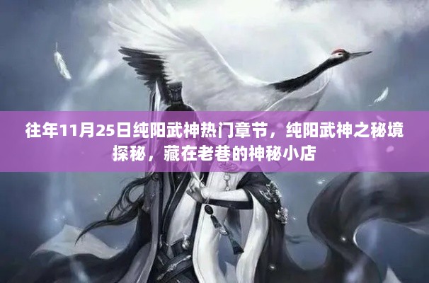 纯阳武神之秘境探秘，藏在老巷的神秘小店