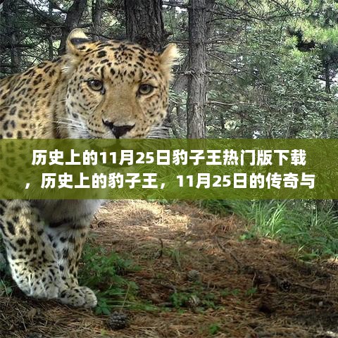 历史上的11月25日，豹子王传奇与热门版下载指南