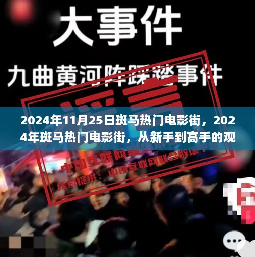 从新手到高手的观影与学习指南，2024年斑马热门电影街