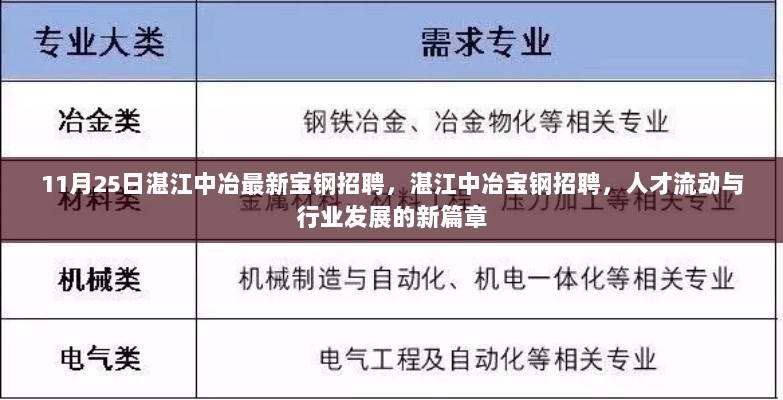 11月25日湛江中冶宝钢最新招聘启幕，人才流动引领行业发展的新篇章