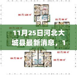 河北大城县最新动态与深度解析案例分析