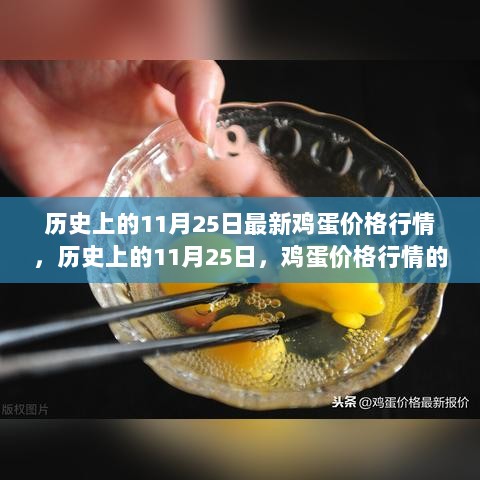 历史上的11月25日，鸡蛋价格行情演变及其影响