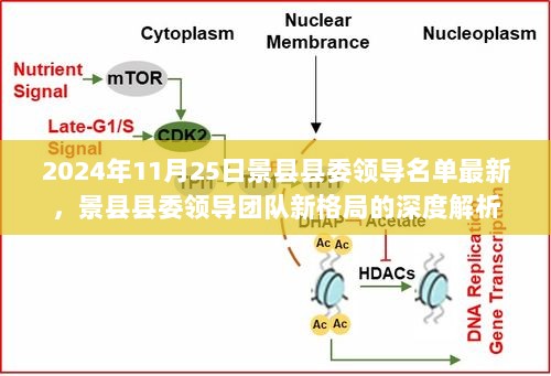 2024年景县县委领导团队新格局深度解析