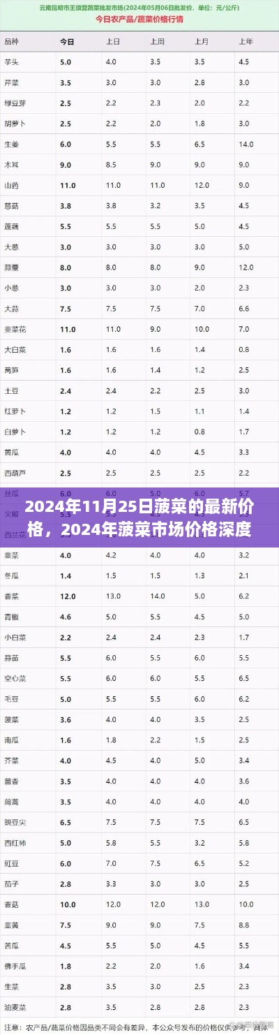 2024年菠菜市场价格深度解析与用户指南，最新价格走势分析