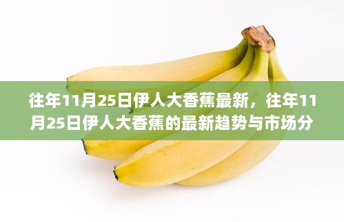 往年11月25日伊人大香蕉市场趋势与最新分析