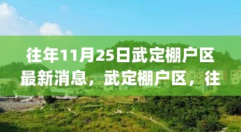 武定棚户区，往昔变迁与今日新貌的深度解析（11月25日最新消息）