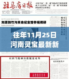 河南灵宝往年11月25日新闻回顾，城市发展、社会热点与民生动态一览