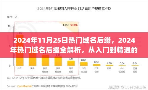 2024年热门域名后缀全解析，从入门到精通的步骤指南