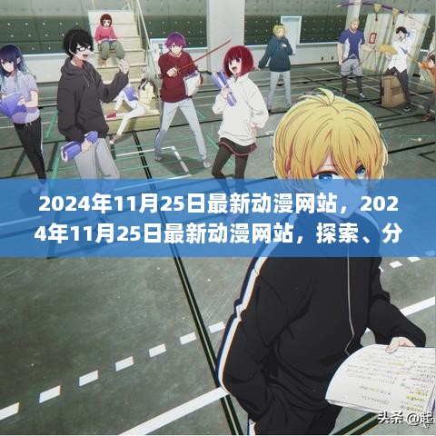 2024年11月25日最新动漫网站，探索、分析与展望