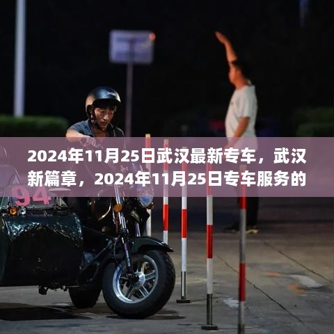 2024年11月25日武汉专车服务，新篇章的崛起与影响