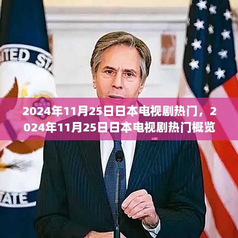 2024年11月25日日本电视剧热门概览