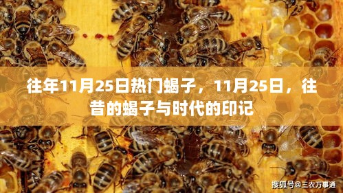 往昔蝎子印记，11月25日时代的记忆