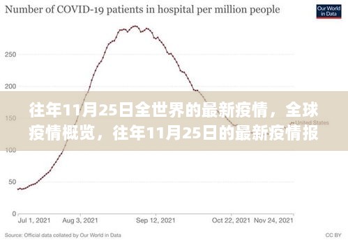 往年11月25日全球疫情概览与最新疫情报告