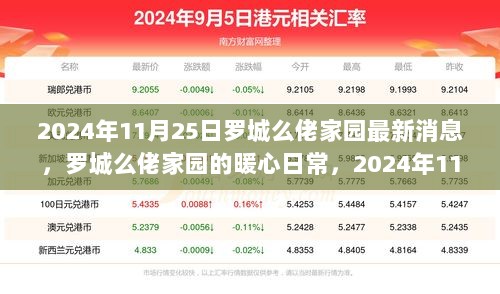 罗城么佬家园，2024年11月25日的暖心日常与美好回忆