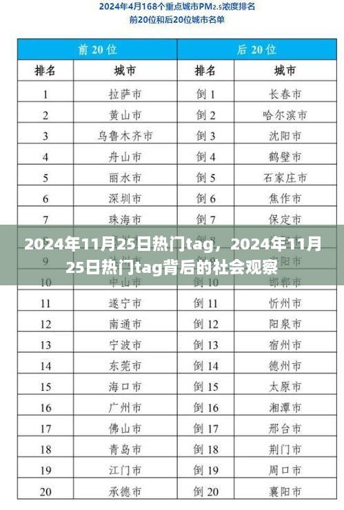 2024年11月25日热门tag，社会现象的深度观察与思考