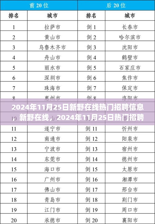 2024年11月25日新野在线热门招聘信息深度解析与解读