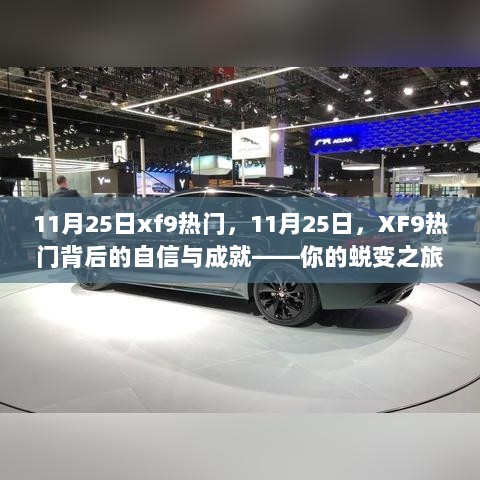 11月25日XF9热门，自信与成就的蜕变之旅