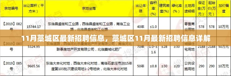 11月藁城区最新招聘信息详解