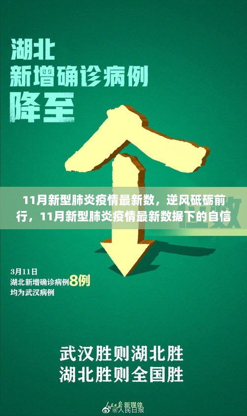 逆风砥砺前行，11月新型肺炎疫情最新数据下的自信与成长