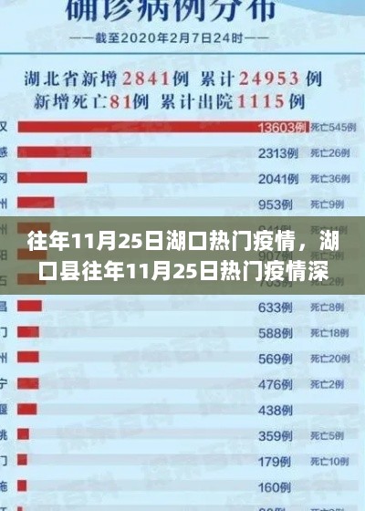 湖口县往年11月25日热门疫情深度解析与体验报告