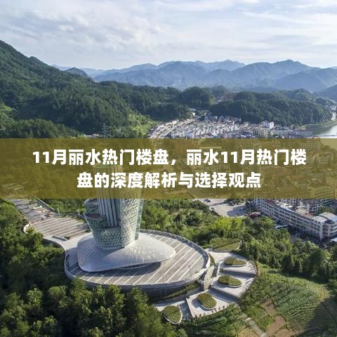 丽水11月热门楼盘深度解析与选择观点