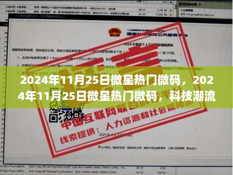 2024年11月25日微星热门微码，科技潮流下的新动向