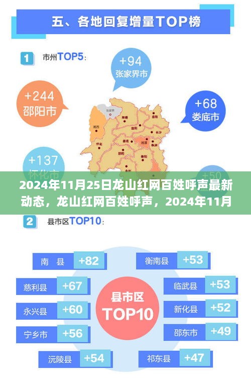 龙山红网百姓呼声，2024年11月25日最新动态及其深远影响