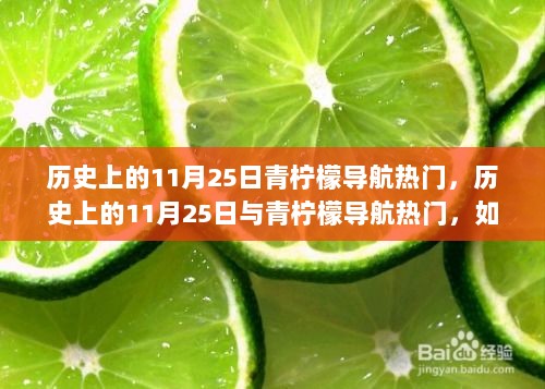 历史上的11月25日，青柠檬导航热门与网络导航技能快速掌握指南