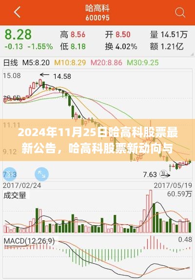 哈高科股票新动向与温馨陪伴，2024年11月25日最新公告解析