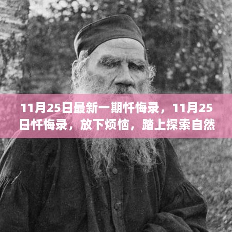 11月25日忏悔录，放下烦恼，探索自然美景的旅程