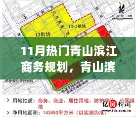 11月青山滨江商务规划的未来展望与策略思考