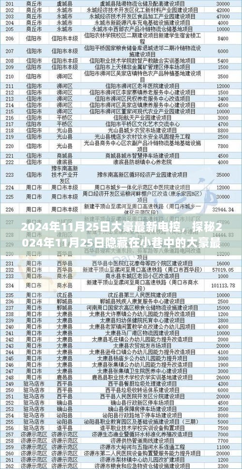 2024年11月25日大豪最新电控，科技与情怀的完美融合，探秘隐藏在小巷中的电控魅力