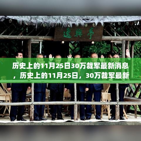 历史上的11月25日，30万裁军最新消息深度解析与观点阐述