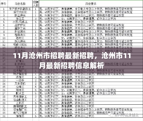 沧州市11月最新招聘信息解析与招聘动态