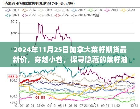 加拿大菜籽期货价格揭秘，美食之旅背后的油宝藏