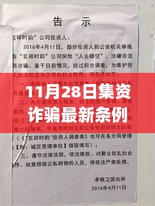 11月28日集资诈骗最新条例解读，防范金融风险，保护投资者权益的必读指南