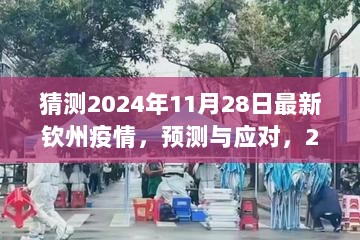 2024年11月28日钦州疫情预测与应对，多元视角下的分析与探讨