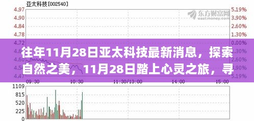 11月28日，探索自然之美，心灵之旅寻找内心平静的最新消息