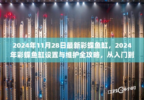 2024年彩蝶鱼缸设置与维护全攻略，从入门到精通的步骤指南