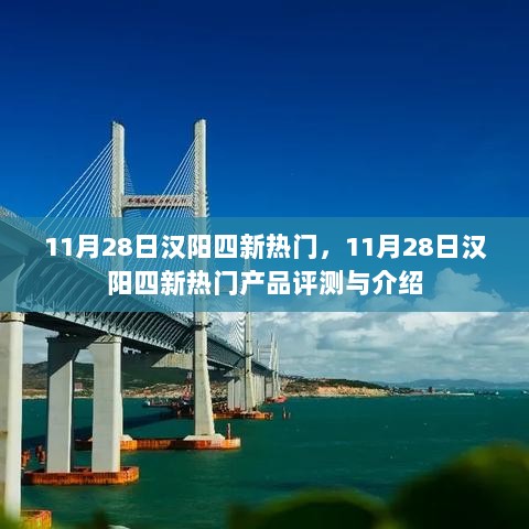 11月28日汉阳四新热门产品评测与介绍