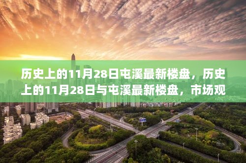 历史上的11月28日，屯溪最新楼盘市场观察与未来展望