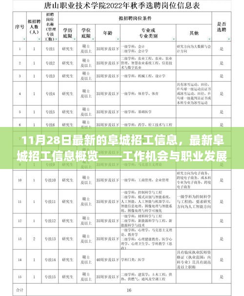 11月28日最新阜城招工信息概览，工作机会与职业发展并进前行