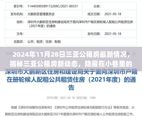 揭秘2024年三亚公租房新动态，探索隐藏小巷里的特色小店，体验别样生活环境