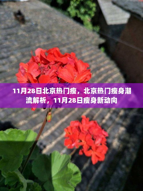 11月28日北京瘦身新动向与热门潮流解析