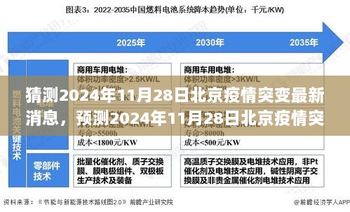 2024年11月28日北京疫情突变最新消息与科学应对策略分析