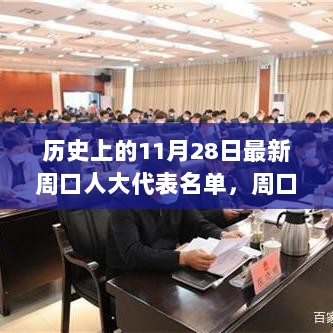 11月28日周口人大代表名单发布，特性、体验与市场分析