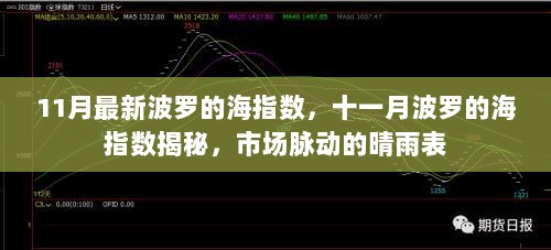 11月波罗的海指数揭秘，市场脉动的晴雨表